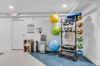 Yoga balls